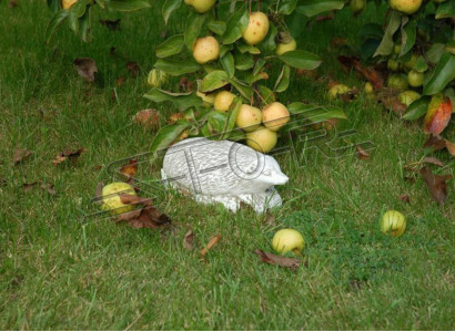 Garden Decoration Hedgehog Patio Stone Figures Figure Decorative Statue